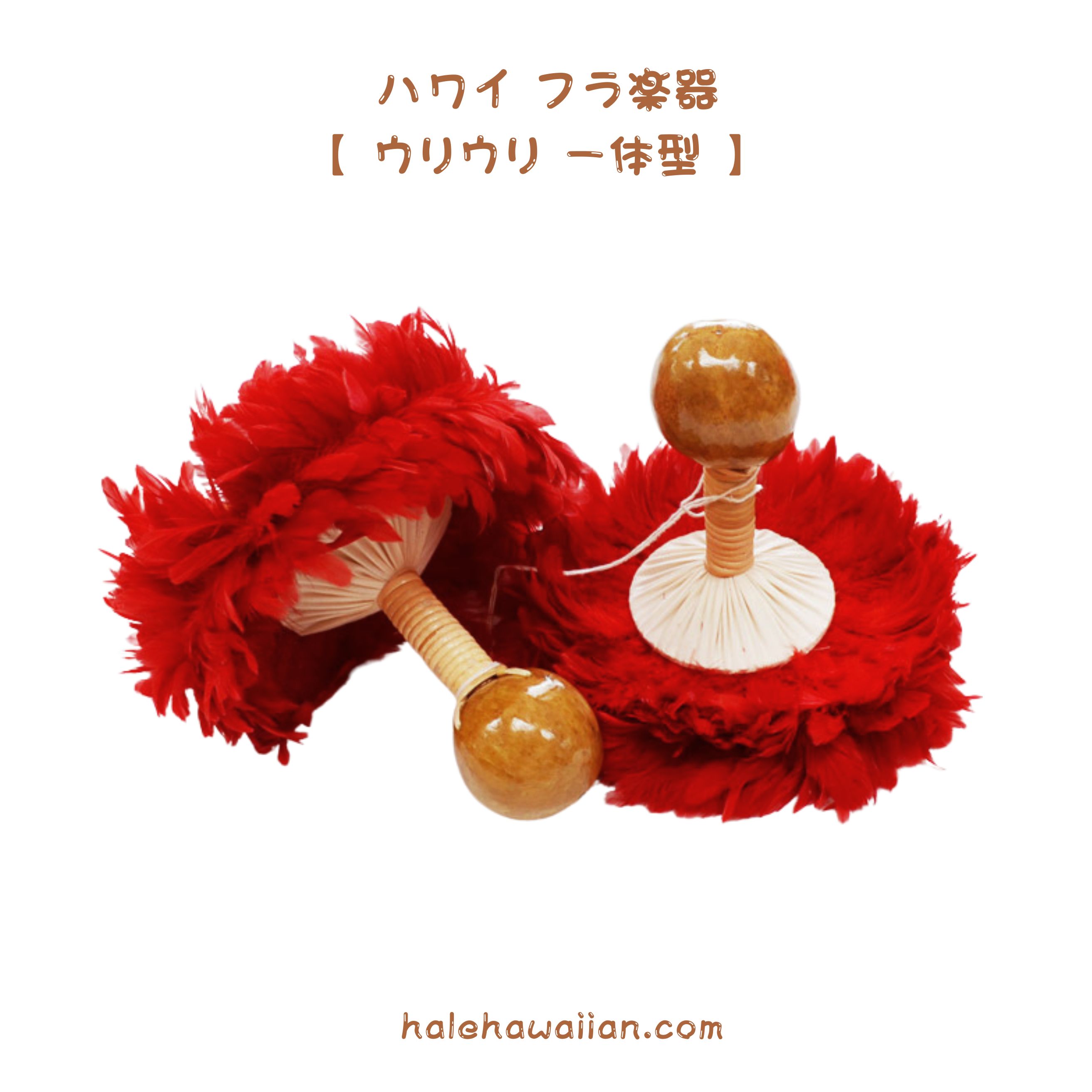 楽天市場】NEW プニウ ココナッツ フラ フラダンス 楽器 打楽器