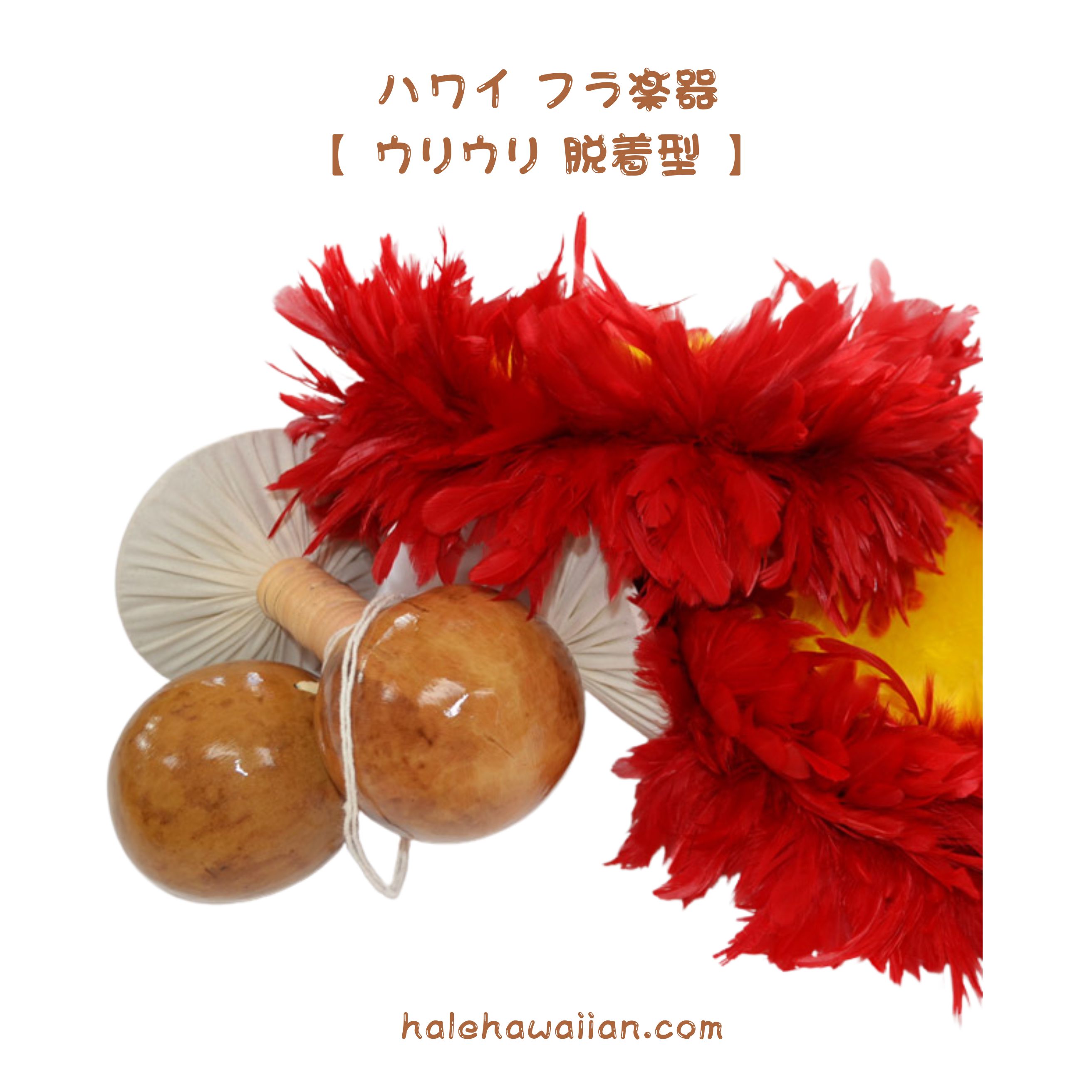 楽天市場】ウリウリ 特注品 Lサイズ フラ フラダンス フラ楽器 'Uli