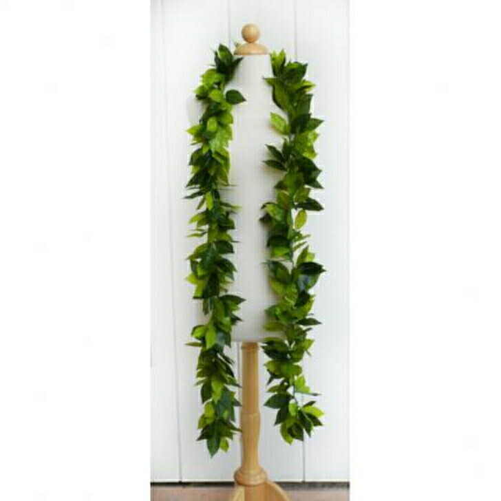 楽天市場】Maunaloa公式店 [デラックスマイレレイ] マウナロア フラ