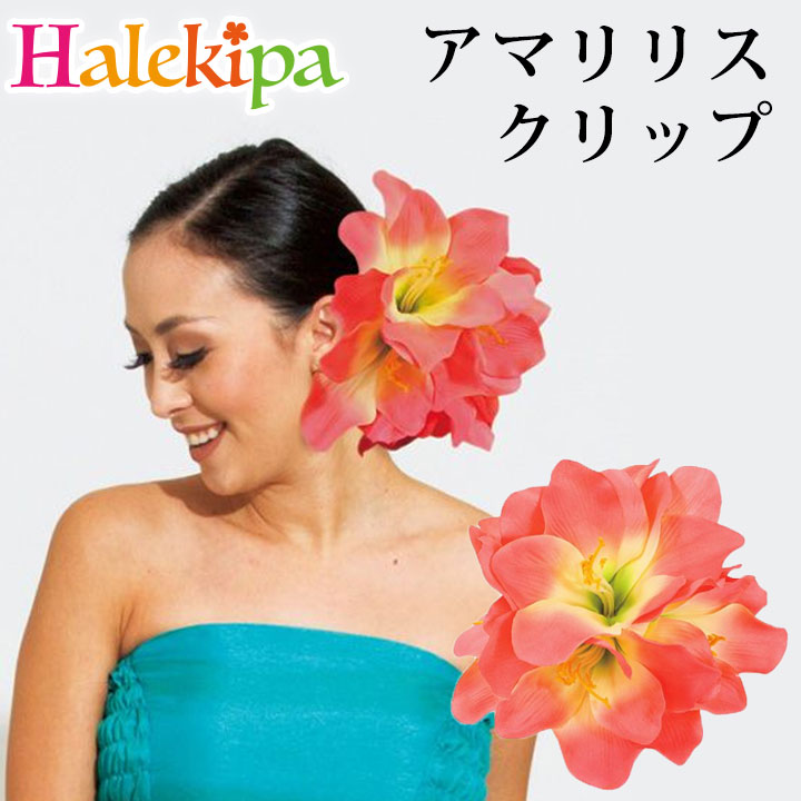 フラダンス小物　ヘアアクセサリー　21個セット 4点セット ヘアアクセサリー【レッド】ヘアコーム ダンス ヘッド
