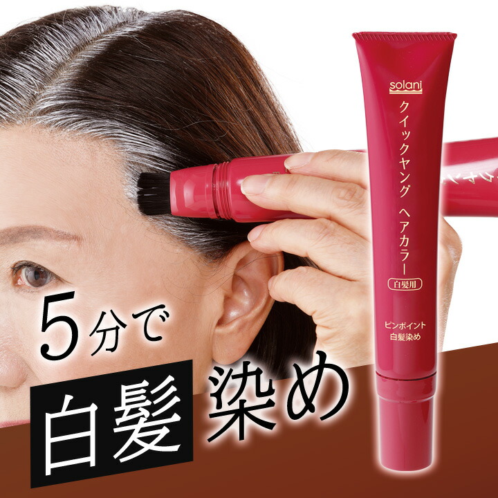 e451-31 ふんわりヘアカラー シルバー 白髪染め 薄毛 毛染め　5本 白髪染め 薄毛 毛染めふんわりヘアカラー シルバー : プロ