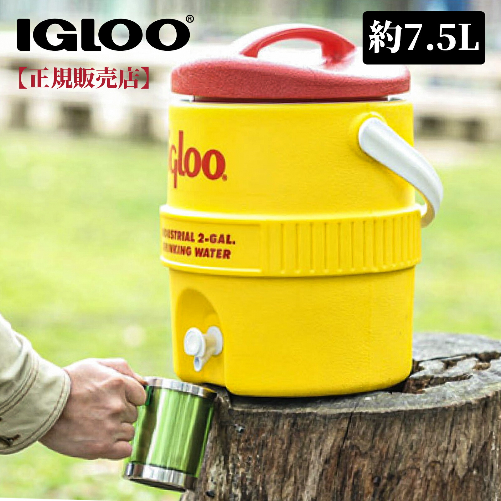 70周年記念 イグルー ウォータージャグ　IGLOO ジャグ　限定品 箱付き70周年記念 イグルー ウォータージャグ 2.5ガロン レガシー 新品