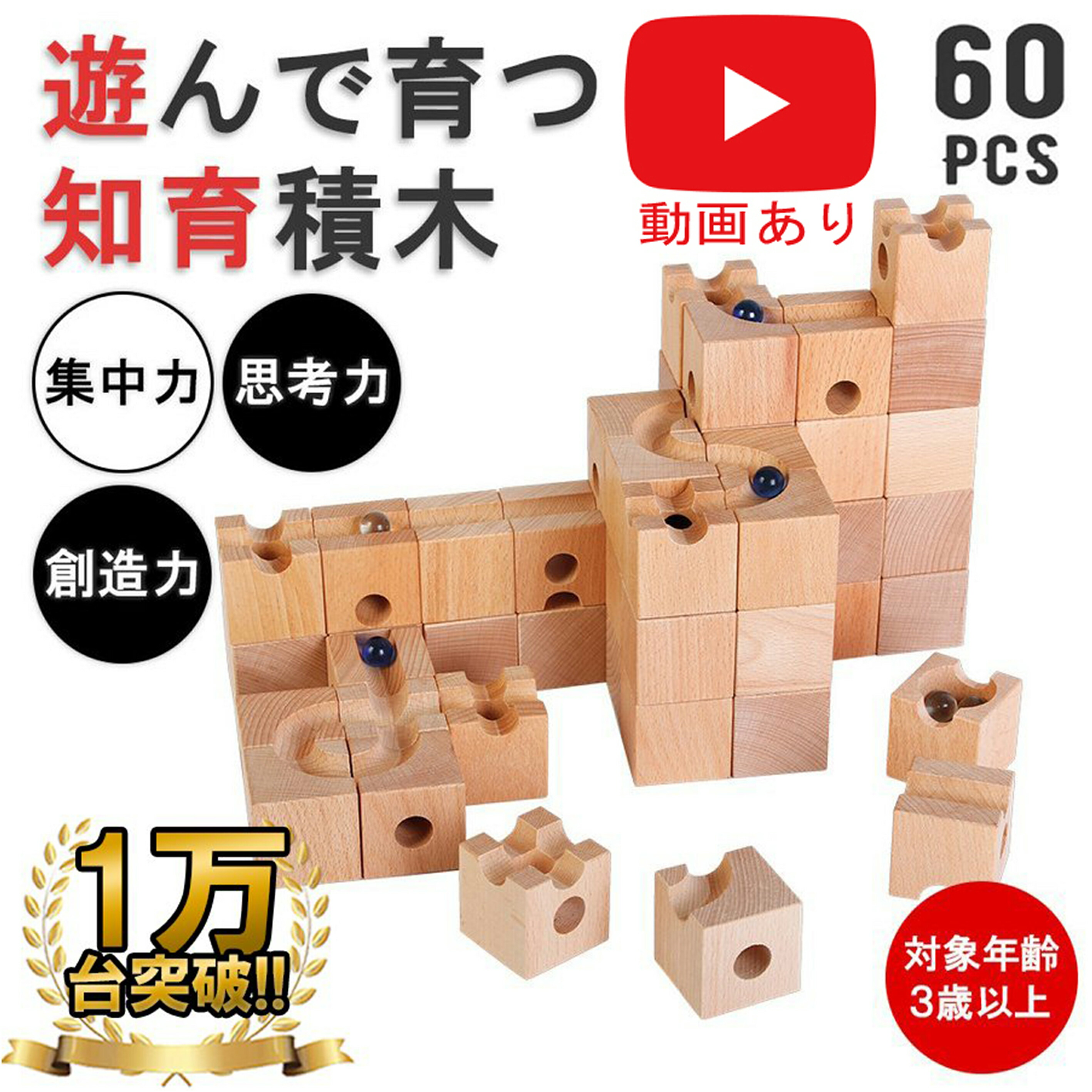 楽天市場 数量限定特別価格 積み木 知育 玩具 つみき 木製 正方形 ブロック 迷路 知育玩具 ビー玉 転がし 出産祝い 卒園 入学 入園 お祝い 幼稚園 保育園 プレゼント ピタゴラスイッチ ギフト 天才のはじまり 思考力を養う 天才を育てる 想像力 直観力 トレモ ジャパン