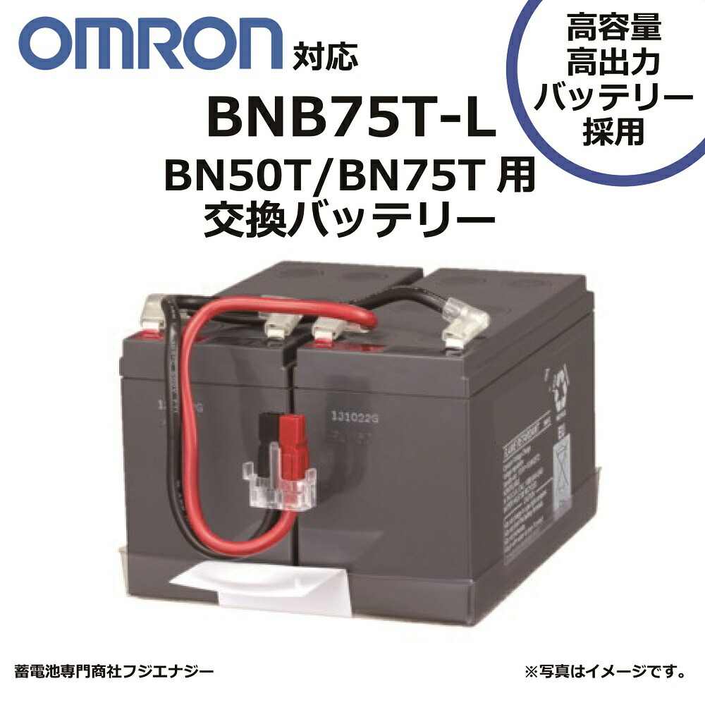 新品 OMRON BN50T UPS 500VA/450W 6W3tOPzAi9Y_pXLkT9fsAqdp_w_LNm