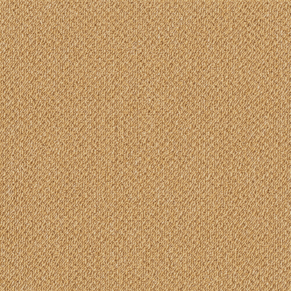 ★ポイント10倍★ 4/4~4/10 お買い物マラソン(要エントリー) 東リ アタック350NE リップルパレットネオ いなほ 10枚入り AK3566 内装材 床材 インテリア タイル カーペット コンパクト 6,192円