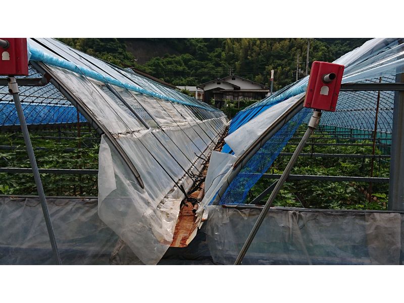 楽天市場】連棟ハウス用 谷樋シート 30m巻 簡単設置 雨樋シート