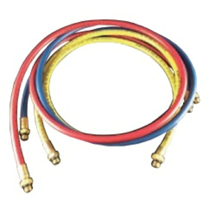 ★ポイント10倍★ 7/19~7/26 お買い物マラソン(要エントリー) A-GAS JAPAN チャージホース FS-729B｜HALLOC　店
