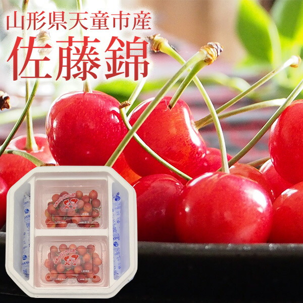 山形県天童市 佐藤錦 秀品 360g (180g×2)　L  送料無料 数量限定 駒澤農園 サクランボ チェリー 旬のフルーツ フルーツ 高級サクランボ さくらんぼ (6月10日以降順次発送)