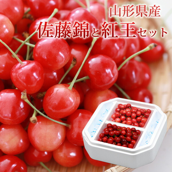 山形県 佐藤錦と紅王セット （佐藤錦300ｇ+紅王300ｇ）送料無料 数量限定 サクランボ チェリー 旬のフルーツ フルーツ 高級サクランボ さくらんぼ (6月10日以降順次発送)