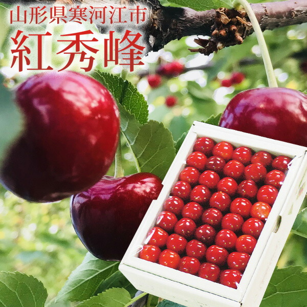 山形県寒河江市 紅秀峰 500g 秀品　500g　３L・２L 手詰め　化粧箱入り  送料無料 数量限定 サクランボ チェリー　JAさがえ西村山　 (6月25日以降順次発送)
