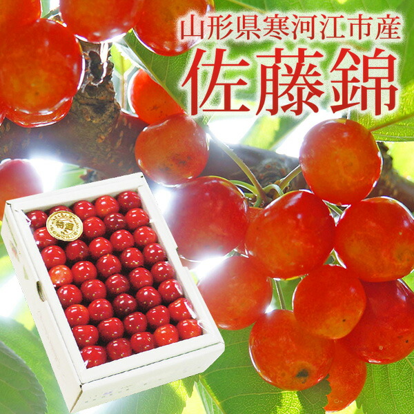 山形県寒河江市 佐藤錦 秀品 500g 2L・L 手詰め 化粧箱入り 送料無料 数量限定 サクランボ チェリー 旬のフルーツ　フルーツ　高級サクランボ　さくらんぼ　JAさがえ西村山 (6月10日以降順次発送)