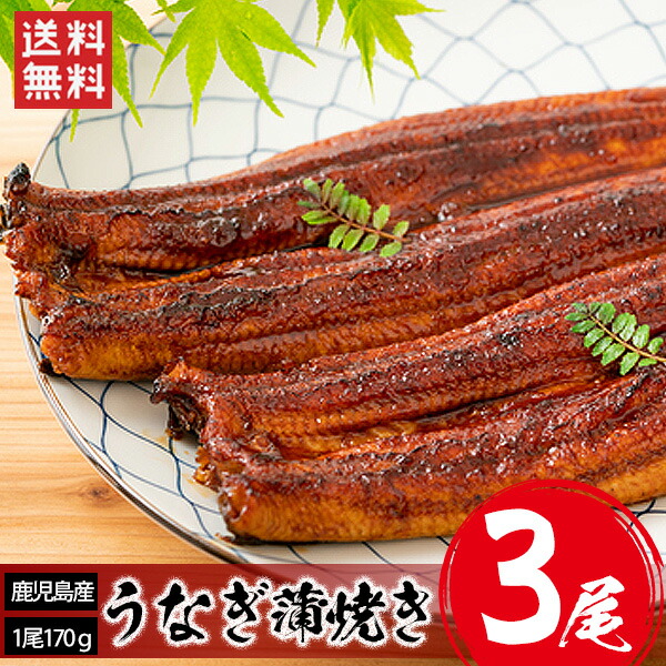 九州産うなぎ蒲焼 約900g（約230g×４）（頭なしの形の良い限定品！）冷凍便 九州産うなぎ蒲焼 約900g（約230g×4）（頭なしの形の良い