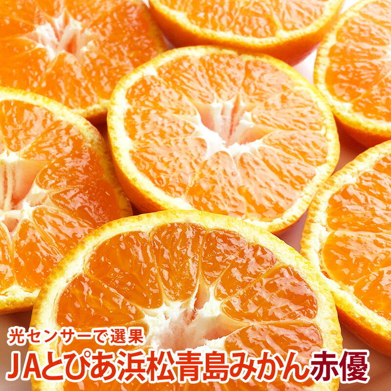 楽天市場】JAとぴあ浜松 片山とぴあみかん 赤秀S/M/L 5キロ～10キロ