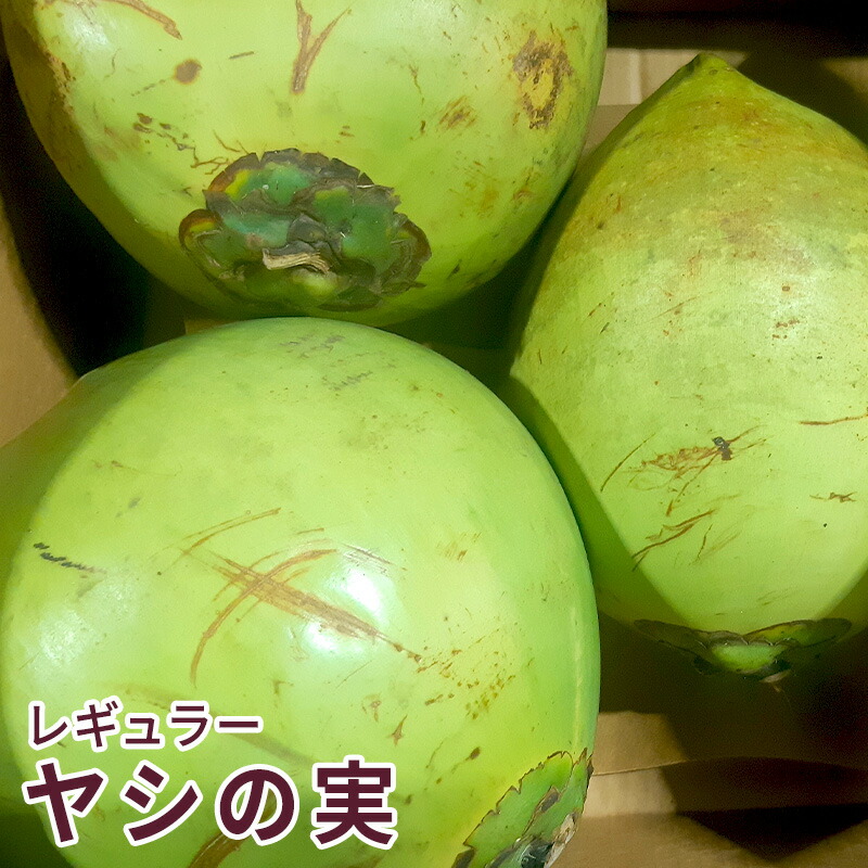 楽天市場】【ベトナム産】ヤングココナッツ 約9kg 12個入れ 1 楽天市場】【ベトナム産】ヤングココナッツ 約9kg 12個入れ 1
