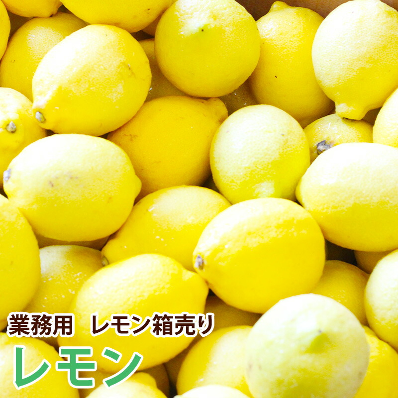 【アメリカ産】業務用レモン箱売り 中玉 17キロ 140玉  小玉 165玉 大玉 95玉 115玉<br>送料無料 ギフト 果物 フルーツ<br>