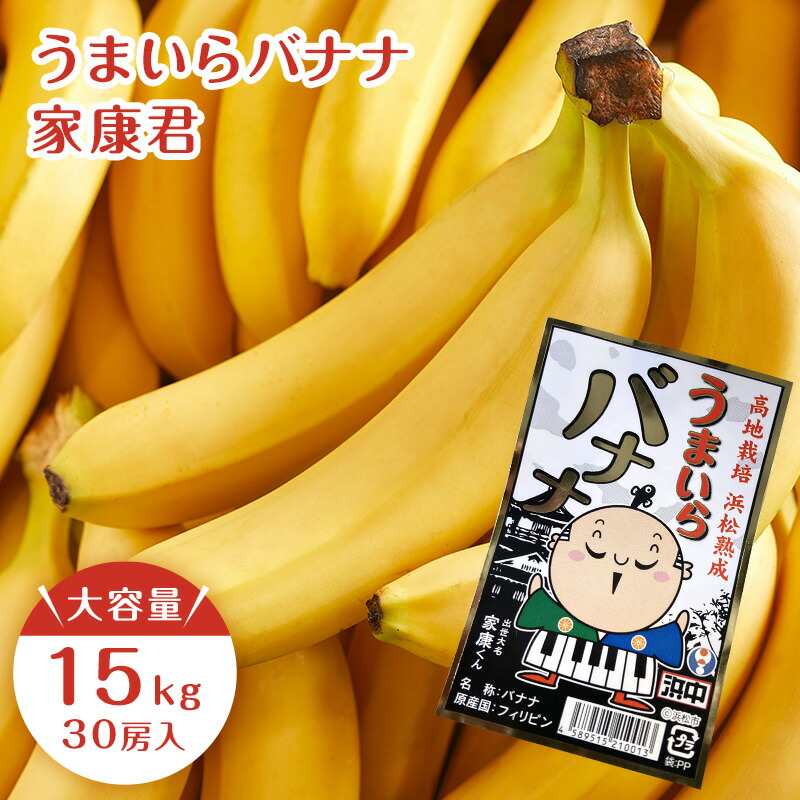 うまいらバナナ 家康君 バナナ 大容量 15kg　30入り<br>バナナ 業務用 送料無料 ばなな バナナ<br>送料無料<br>
