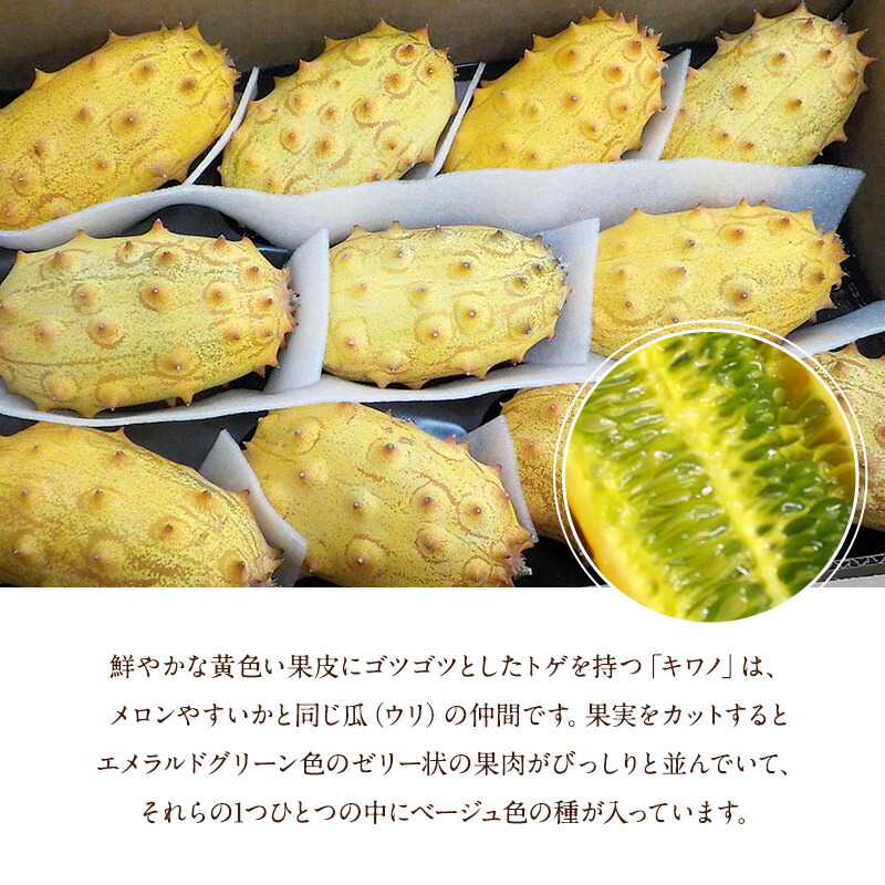 キワノ 約4.5k 10玉～12玉 アメリカ産 フルーツ 果物 送料無料 クール