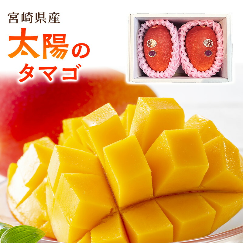 楽天市場】6月3日より順次発送【台湾産】【クール便】マンゴー