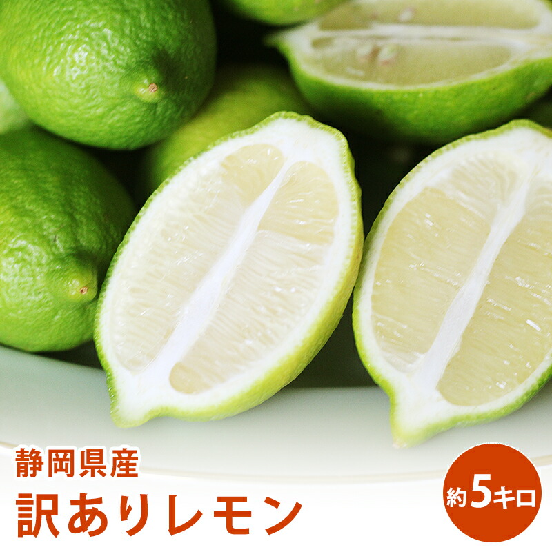 楽天市場】【大感謝祭限定エントリーでP10倍＆最大300円OFFクーポン