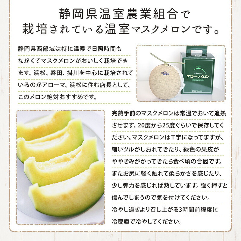 静岡県製造 カンタロープ 6個入り口 ほぼ9キロ極端機能 静岡 マスクメロン アローマメロン フルーツ 果物 出生地直送貨物輸送無料 Oceanblueflorida Com
