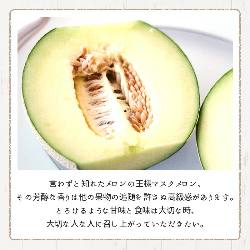 静岡県製造 カンタロープ 6個入り口 ほぼ9キロ極端機能 静岡 マスクメロン アローマメロン フルーツ 果物 出生地直送貨物輸送無料 Oceanblueflorida Com