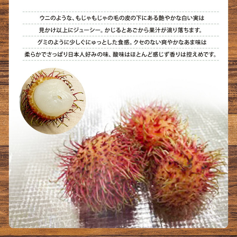 お取り寄せ はまべじ おつまみ 爽やかなあま味にグミのような不思議な食感 6kg フルーツ フルーツ トロピカルフルーツ その他 ランブータン ヘルシー 6kg