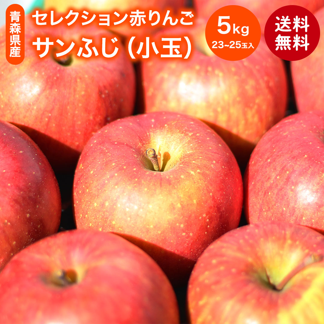 専門店では セレクション赤りんご 5kg 23 25玉 小玉 サンふじ 送料無料 Qdtek Vn