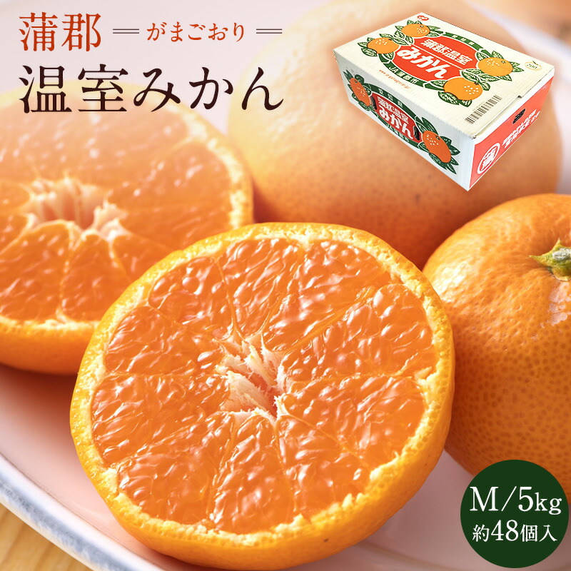 6.23.●L・２段入●光センサー●ハウスみかん●マルナン●5ＫＧ 楽天市場】長崎産 まるなん ハウスみかん Lサイズ 20個入り 化粧