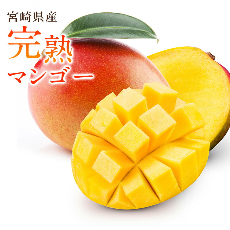 【宮崎県産】完熟マンゴー 青秀品 350g以上 450g以上 500g以上 送料無料 樹上完熟 ギフト プレゼント 母の日 父の日 マンゴー アップルマンゴー アーウィン種 美味しい 箱売り 贈答 贈り物 おうち用 化粧箱入り