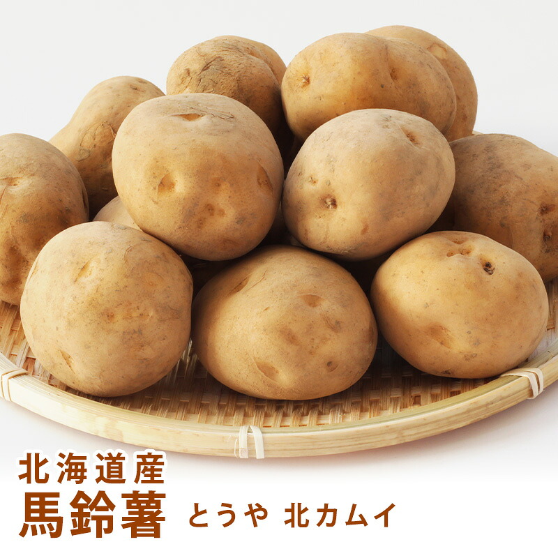楽天市場】2025年産北海道じゃがいもとうや（10kg） : いも屋ほっかいどう