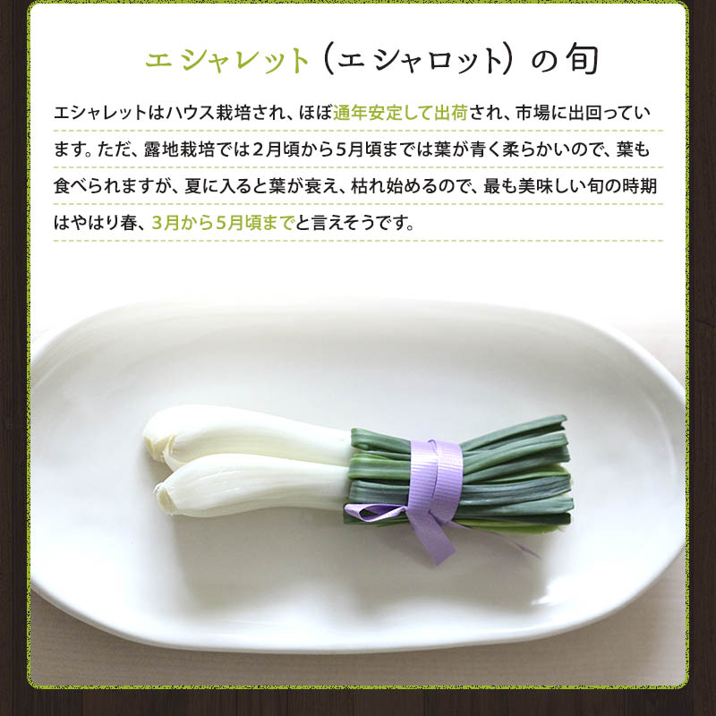 楽天市場 静岡県産 浜松産 エシャレット 箱売り 10束入り 約700gエシャレット 国産 エシャレット 野菜 はまべじ