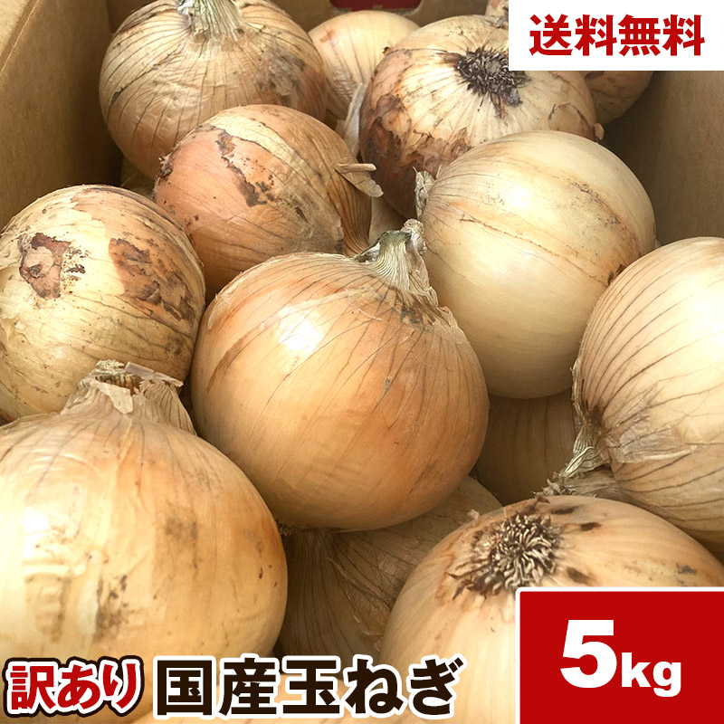 楽天市場】訳あり 北海道産 たまねぎ 20kg 玉ねぎ タマネギ 送料無料