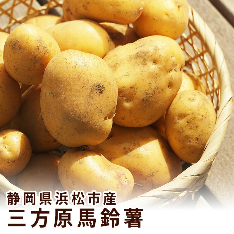 専用　べにはるか 20kg(箱込) M べにはるか 20kg(箱込) M(約200g～350g) 茨城県産 - メルカリ
