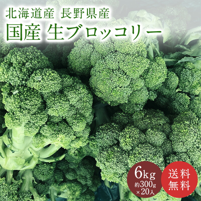 強かな小松菜様 專用 楽天市場】【浜松産】 小松菜 200g 10入り 約2kg こまつな
