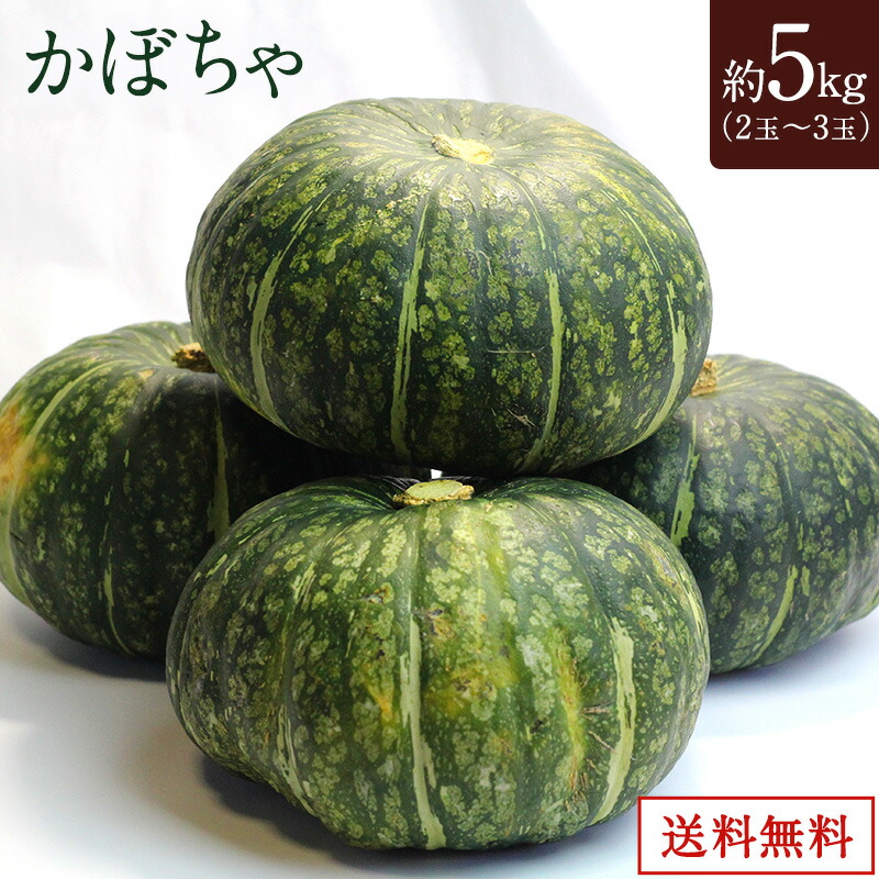 かぼちゃに様 楽天市場】【送料無料】宮崎県産 黒皮かぼちゃ S〜Mサイズ 8個