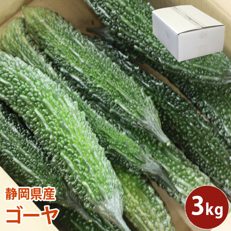 楽天市場】ゴーヤー（苦瓜） 1kg : 沖縄美味通販のたま青果