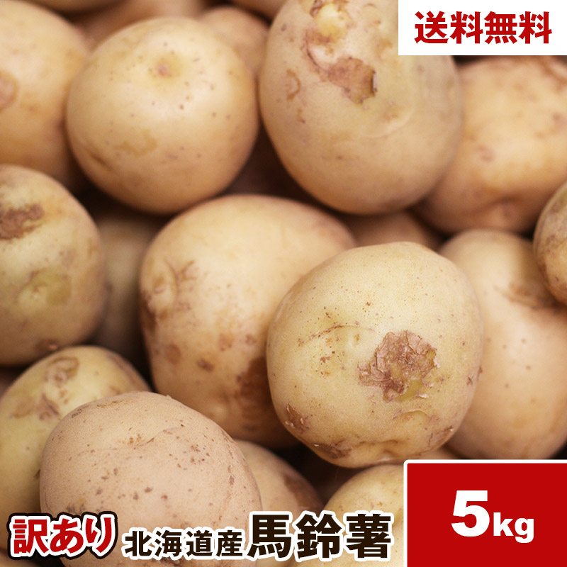 楽天市場】＼売り尽くし／じゃがいも 種芋 10kg 送料無料 マツコの知ら