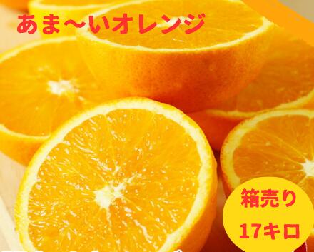 楽天市場】【チリ産】業務用レモン箱売り 中玉 17キロ 140玉