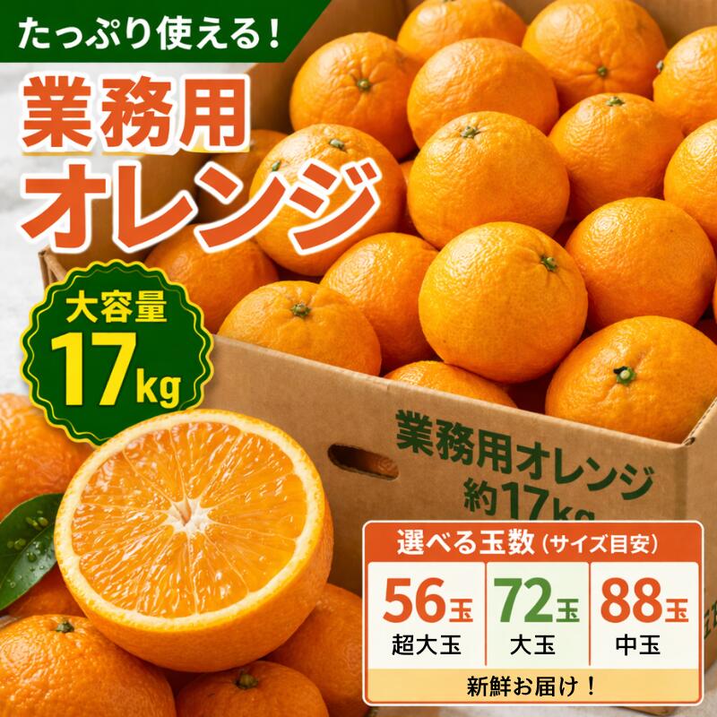 オレンジ業務用 箱売り【オーストラリア産】オレンジ17キロ 業務用オレンジ 大容量 箱買い お徳用 大量 ネーブル 大特価 送料無料 果物 フルーツ ジューシー ジュース 柑橘 ビタミンC 健康 新鮮なオレンジバレンシア 飲食店 カフェ スイーツ｜はまべじ