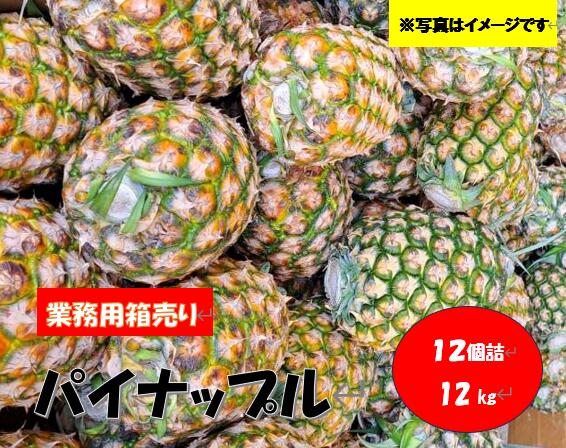 業務用　箱売り【フィリピン産】パイン　12個入り　約12キロ　業務用訳あり高糖度パイナップル　パインジュース　パインケーキ　パインカッター　　送料無料