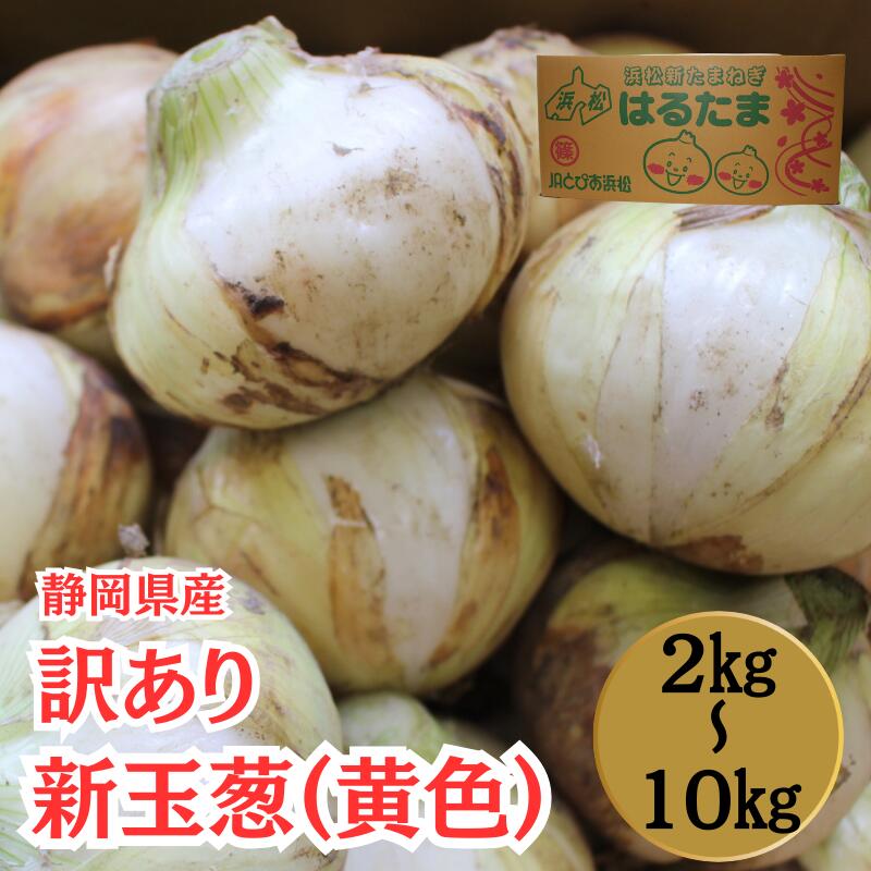 楽天市場】販売開始【静岡県浜松市産】新玉葱（黄色）10キロ L 約50個