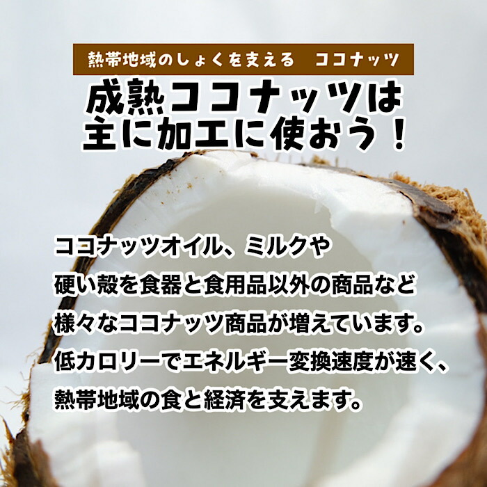 ベトナム社会主義共和国生み出すこと ココナッツ 15 個入れ 1個700 以上 貨物輸送無料 ココナッツ ココヤシのとても ヤシ科の実 ココヤシ Cannes Encheres Com