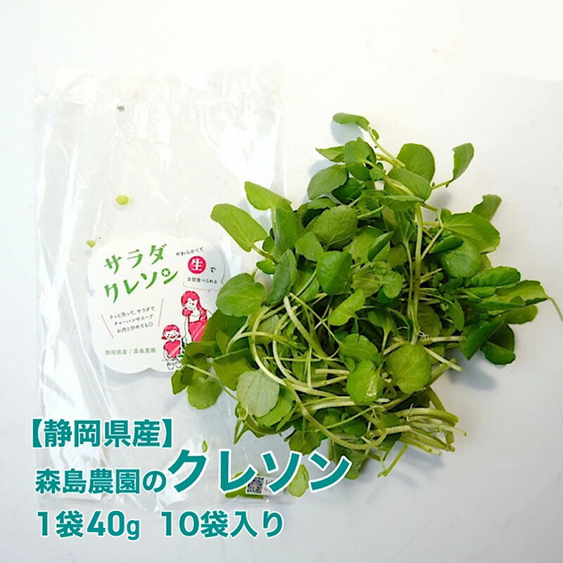 楽天市場】【浜松産】 小松菜 200g 10入り 約2kg こまつな