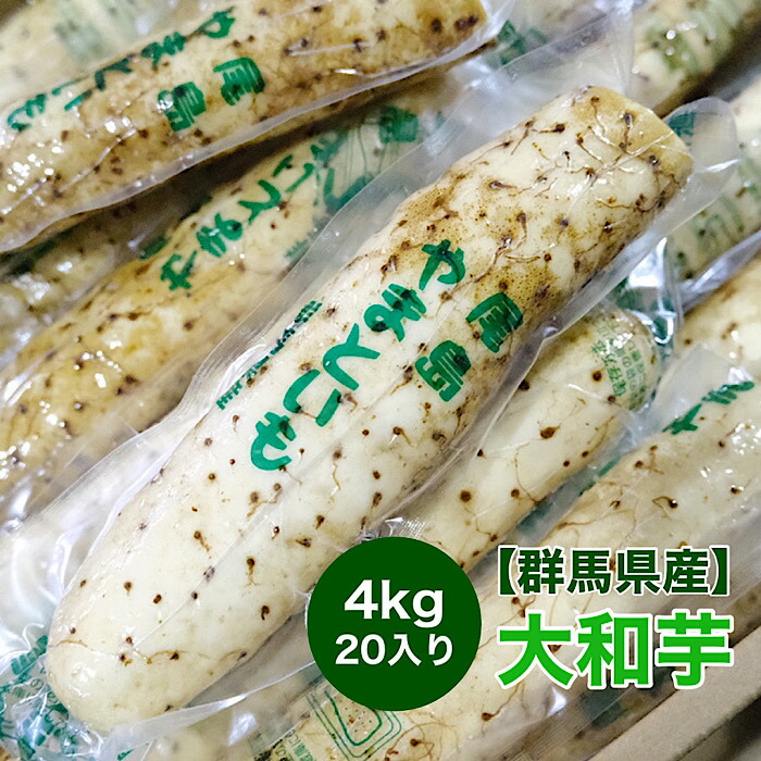 群馬県産 大和芋 4kg 入り 棒 送料無料 ヤマトイモ 長芋 とろろ 群馬県産 大和芋 4kg 入り 棒 送料無料 ヤマトイモ 長芋 とろろ 胃もたれ解消に効果がある 私のおすすめは Diasaonline Com