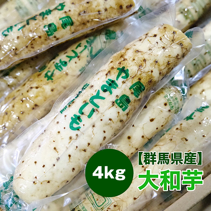 【千葉県 群馬県産】大和芋 4kg 棒 送料無料 ヤマトイモ 長芋 とろろ