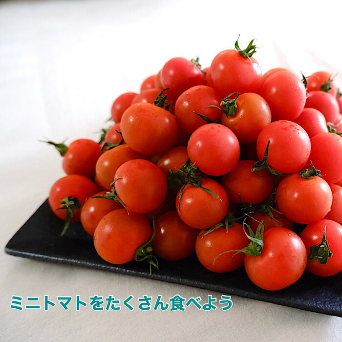 青森 愛知県産 ミニトマト 24パック入り 約4 8kg 1パック0g入り 送料無料 トマト お弁当 サラダ 野菜 Kanal9tv Com