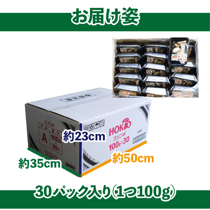 長野県産 えりんぎ 30個入り 上品 3kg 1個100g 送料無料 きのこ キノコ エリンギ