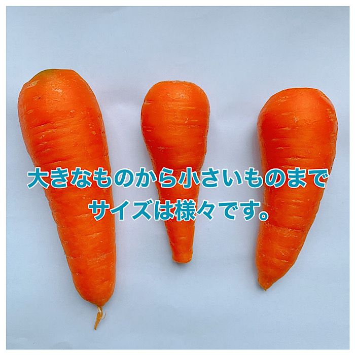 楽天市場 青森県産 訳ありにんじん 5kg 大きさおまかせ 15 40本入 送料無料 ニンジン 人参 Carrot 大きなものから小さい ものまで はまべじ