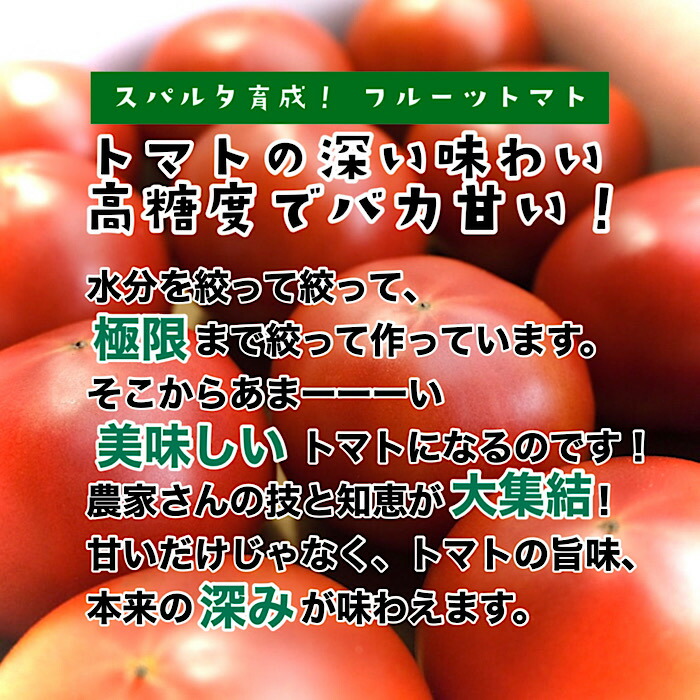 楽天市場 静岡県産 フルーツトマト ｍ中心 約1ｋｇ 12玉入り 贈答用 化粧箱 送料無料 甘い 野菜 高糖度トマト 母の日 プレゼント はまべじ
