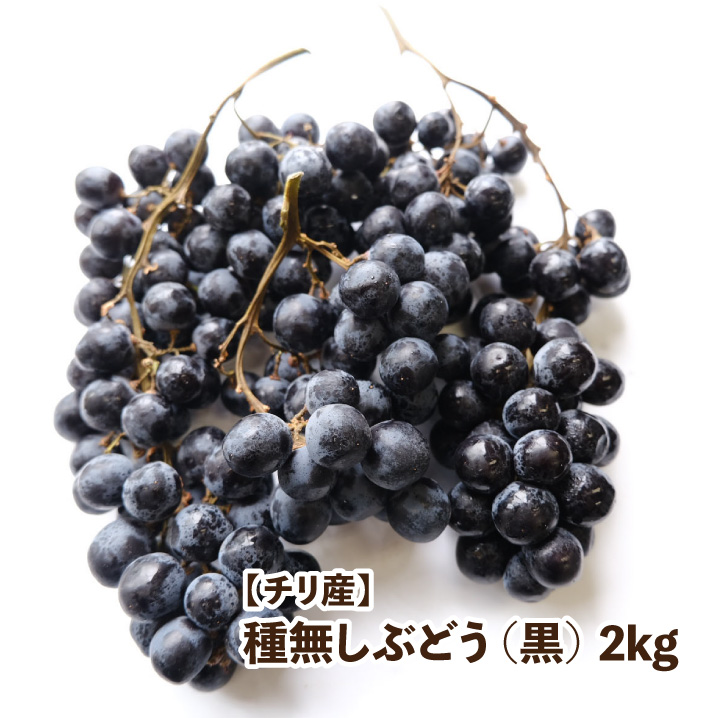 楽天市場 チリ産 黒ぶどう 2kg ギフト ご褒美 ダイエット フルーツ 果物 ブドウ 葡萄 Grape はまべじ